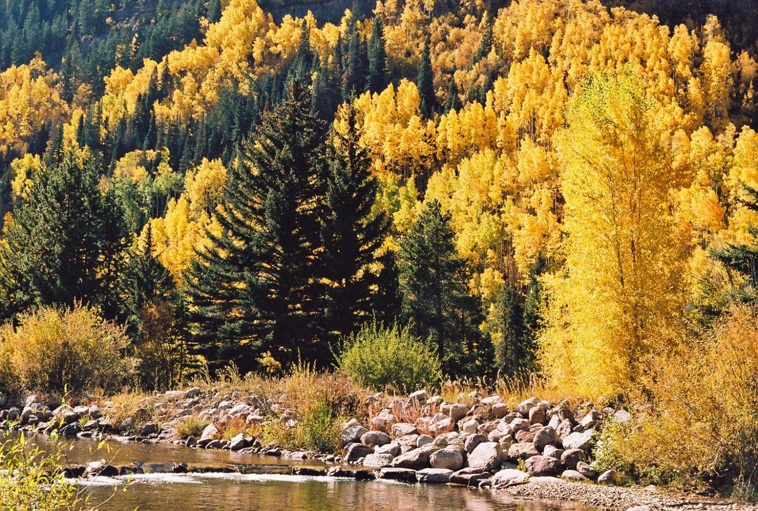 Vail Racquet Club Mountain Resort Bagian luar foto